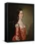 Portrait of a Lady, C.1760-Joseph Wright of Derby-Framed Stretched Canvas