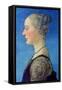 Portrait of a Lady, C1453-1498-Antonio Del Pollaiuolo-Framed Stretched Canvas