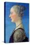 Portrait of a Lady, C1453-1498-Antonio Del Pollaiuolo-Stretched Canvas