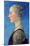Portrait of a Lady, C1453-1498-Antonio Del Pollaiuolo-Mounted Giclee Print