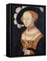 Portrait of a Lady, Ca 1530-Hans Baldung-Framed Stretched Canvas