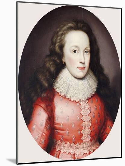 Portrait of a Lady Called Alathea, Countess of Arundel, 1619-Cornelius Johnson-Mounted Giclee Print