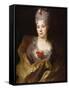 Portrait of a Lady, Half Length, Wearing a White Dress and a Yellow Wrap, with Flowers in Her Hair-Nicolas de Largilliere-Framed Stretched Canvas