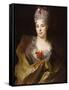 Portrait of a Lady, Half Length, Wearing a White Dress and a Yellow Wrap, with Flowers in Her Hair-Nicolas de Largilliere-Framed Stretched Canvas