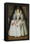 Portrait of a Lady, Identified as Elizabeth Howard, C.1595-1605-null-Framed Stretched Canvas