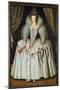 Portrait of a Lady, Identified as Elizabeth Howard, C.1595-1605-null-Mounted Giclee Print