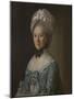 Portrait of a Lady in a Blue Dress, Possibly Mrs Mary Barnardiston-Nathaniel Hone-Mounted Giclee Print