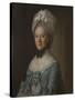 Portrait of a Lady in a Blue Dress, Possibly Mrs Mary Barnardiston-Nathaniel Hone-Stretched Canvas