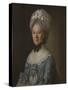 Portrait of a Lady in a Blue Dress, Possibly Mrs Mary Barnardiston-Nathaniel Hone-Stretched Canvas