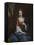 Portrait of a Lady in a Red Dress-Godfrey Kneller-Framed Stretched Canvas