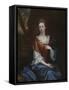 Portrait of a Lady in a Red Dress-Godfrey Kneller-Framed Stretched Canvas