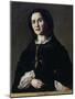 Portrait of a Lady in Costume-Federico Faruffini-Mounted Giclee Print