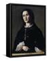 Portrait of a Lady in Costume-Federico Faruffini-Framed Stretched Canvas