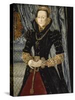 Portrait of a Lady of the Wentworth Family (Probably Jane Cheyne), 1563-Hans Eworth-Stretched Canvas