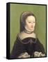 Portrait of a Lady, Said to be Jeanne D'Albret, Mother of Henri IV of France-Claude Corneille de Lyon-Framed Stretched Canvas