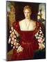 Portrait of a Lady, Standing Three-Quarter Length, Wearing a Red Velvet Dress-Bonifazio de' Pitati-Mounted Giclee Print