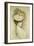 Portrait of a Lady, Thought to Be Madame Helleu-Paul Cesar Helleu-Framed Giclee Print