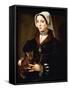 Portrait of a Lady, Three-Quarter-Length, Wearing Dark Costume, Holding a Cat-Ambrosius Benson-Framed Stretched Canvas