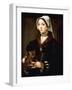 Portrait of a Lady, Three-Quarter-Length, Wearing Dark Costume, Holding a Cat-Ambrosius Benson-Framed Giclee Print