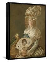 Portrait of a Lady with a Parrot, C.1785-90-Luis Paret y Alcazar-Framed Stretched Canvas