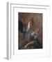 Portrait of a Lady-Giovanni Boldini-Framed Premium Giclee Print