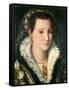 Portrait of a Lady-Alessandro Allori-Framed Stretched Canvas