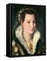 Portrait of a Lady-Alessandro Allori-Framed Stretched Canvas