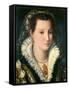 Portrait of a Lady-Alessandro Allori-Framed Stretched Canvas