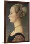 Portrait of a Lady-Antonio Pollaiolo-Framed Art Print