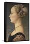 Portrait of a Lady-Antonio Pollaiolo-Framed Stretched Canvas