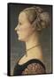 Portrait of a Lady-Antonio Pollaiolo-Framed Stretched Canvas