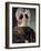 Portrait of a Lady-Jan Adam Kruseman-Framed Giclee Print