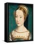 Portrait of a Lady-Claude Corneille de Lyon-Framed Stretched Canvas