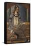 Portrait of a Lady-Mirza Baba-Framed Stretched Canvas