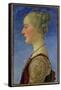 Portrait of a Lady-Antonio Pollaiolo-Framed Stretched Canvas