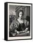 Portrait of a Lady-Andrea del Sarto-Framed Stretched Canvas