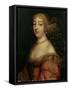 Portrait of a Lady-Louis Ferdinand Elle-Framed Stretched Canvas