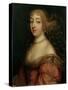Portrait of a Lady-Louis Ferdinand Elle-Stretched Canvas