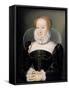 Portrait of a Lady-Francois Clouet-Framed Stretched Canvas