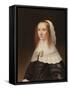 Portrait of a Lady-Jacob Willemsz Delff-Framed Stretched Canvas