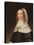 Portrait of a Lady-Jacob Willemsz Delff-Stretched Canvas