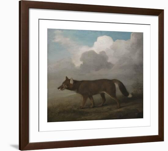 Portrait of a Large Dog (Dingo)-George Stubbs-Framed Premium Giclee Print