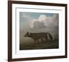 Portrait of a Large Dog (Dingo)-George Stubbs-Framed Premium Giclee Print