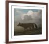 Portrait of a Large Dog (Dingo)-George Stubbs-Framed Premium Giclee Print