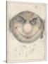 Portrait of a Leprechaune-Wayne Anderson-Stretched Canvas