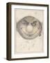 Portrait of a Leprechaune-Wayne Anderson-Framed Giclee Print