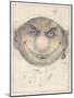 Portrait of a Leprechaune-Wayne Anderson-Mounted Giclee Print