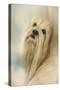 Portrait of a Lhasa Apso-Jai Johnson-Stretched Canvas