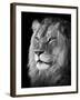 Portrait Of A Lion In Black And White-Reinhold Leitner-Framed Premium Photographic Print