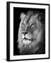 Portrait Of A Lion In Black And White-Reinhold Leitner-Framed Premium Photographic Print